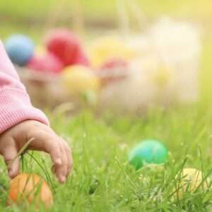 egg-hunt