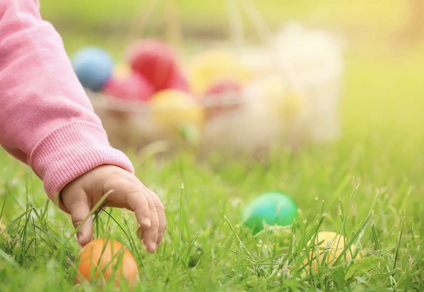 egg-hunt